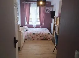 CHAMBRE dans logts très récent