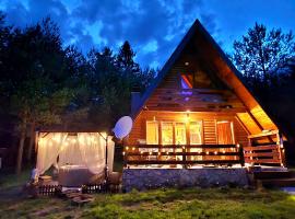 Chalet with outdoor jacuzzi near Sarajevo，位于帕莱的酒店