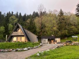 Cabana Doinița，位于博尔沙的酒店