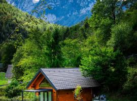 Radovna Chalet with Panoramic View，位于莫斯特拉纳的酒店