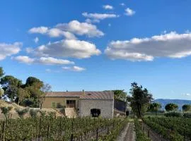 Domaine Saint Antoine