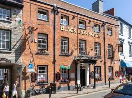 The Black Lion Hotel，位于卡迪根的酒店