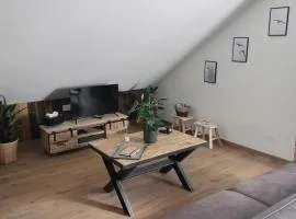 Appartement neuf Le Grenier d'Oscar