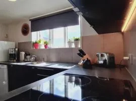 megiiceland