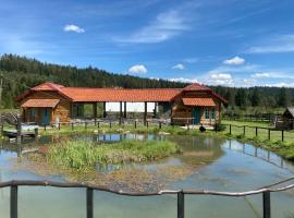 Camping in Nature of Nišići, Empty Lots，位于Bunjevci的酒店