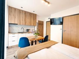 Apartamenty Pod Wyciągiem，位于维斯瓦的酒店