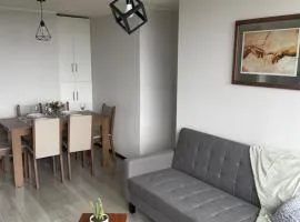 Departamento amoblado Concepción