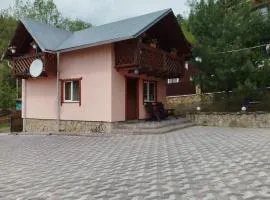 Holiday Home Melodiya Karpat