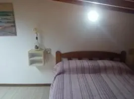 Alboroto house