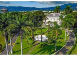 Apt Near Devon - Kingston- POOL- B306 FIWI，位于金斯敦的酒店