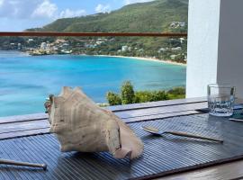 Sandollar at Blueview A cozy, cute flat with a wow view，位于金斯敦的酒店