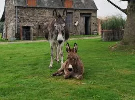 La Billardière Camping à la Ferme