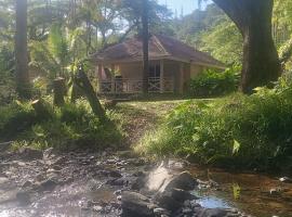Bungalow Évasion 6，位于Sarraméa的酒店