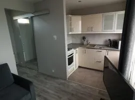 Small studio in the city center