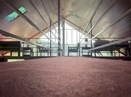 Mountain View Homestay