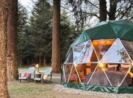 High Moor Glamping，位于雅莱的酒店