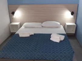 Funny Village Dog Friendly