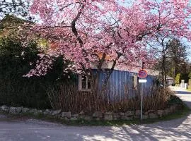 Seeloft Seeshaupt - Loft-Appartement am Starnberger See