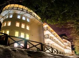Hotel EUROPA - Górnicza Strzecha