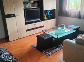 Apartament Alexandra