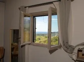 Collimare Bed and Breakfast Golfo di Policastro