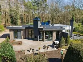 Bungalow in Drenthe near Forest & Lake