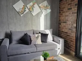 Bonito Loft Barrio W Centro Monterrey