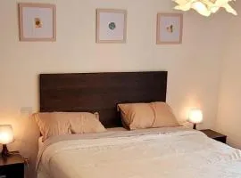 T2 pic de l’ours Fontromeu