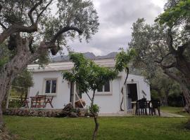 Liostasi Cottage，位于Kariotes的酒店