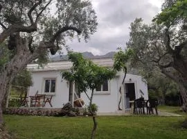 Liostasi Cottage