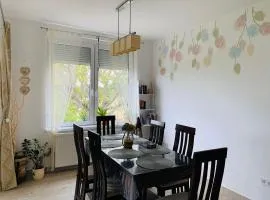 Hortenzia Vendégház Mór