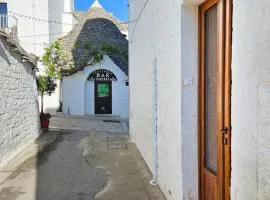 Ddo e Dde dimore nr 56