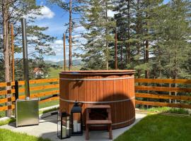 Pino House Zlatibor-Tornik，位于Ribnica的别墅