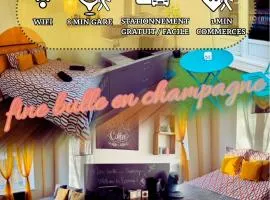 Fine bulle en Champagne - 1 chambre - Terrasse - RDC - Parking - centre ville