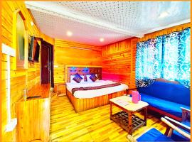 HOTEL LAKE ! VIEW PREMIUM NAINITAL - Mountain View From Balcony - WIfi - Room Service - Best Hotel In Nainital，位于奈尼塔尔的酒店