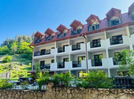 Hotel Iveria，位于阿巴斯图马尼的酒店