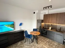 Apartament Skłodowskiej WINDA NOWY LOKAL