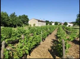 Cabane Feuille - Glamping on a vineyard - Wooden Cabin
