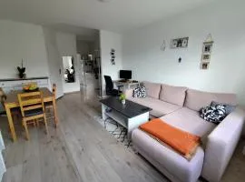 Cozy apartment with a view