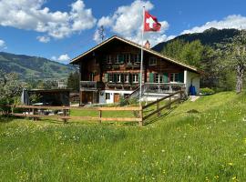 Alpenchalet Haldeli Ferienwohnung，位于格施塔德的酒店