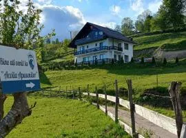 Pensiunea Agroturistica Acvila Apusenilor