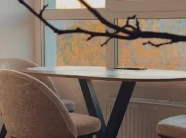 Апартаменти в центрі на Шевченка