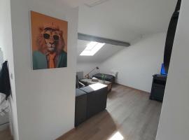 Apaartement près du Stade du Hainaut，位于Marly的酒店