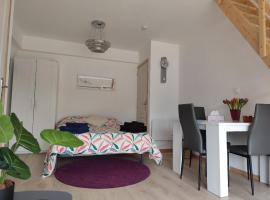 Studio Garden Parking Airport Eurexpo Groupama Stadium，位于热纳的酒店
