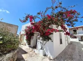 LILIUM HOUSE PALEKASTRO