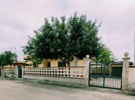 Villa Raffaele