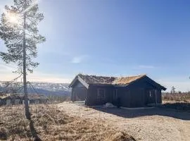 Stunning Home In Engerdal With Wifi