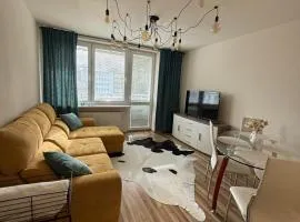 ZENNA Apartment v centre mesta s parkovaním FREE