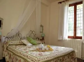 Farmhouse in Marsciano with vineyards olive groves