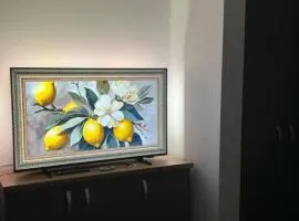 Lemon Studio by the Sea
